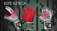 Перчатки вратарские Elite Azteca