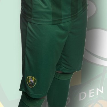 Мужская форма голкипера футбольного клуба Ден Хааг 2016/2017 (комплект: футболка + шорты + гетры)