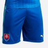 Детская форма Сборная Словакии 2016/2017 (комплект: футболка + шорты + гетры)